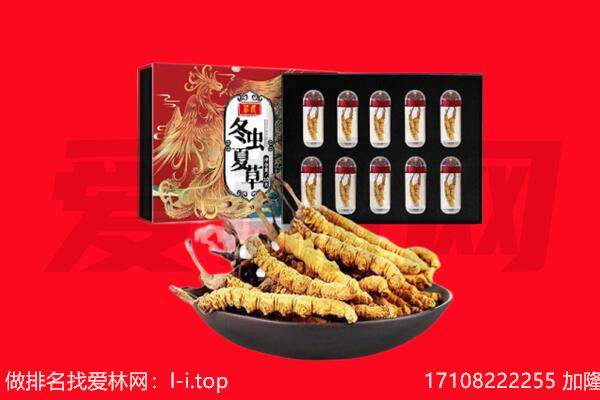 合肥回收虫草.jpg